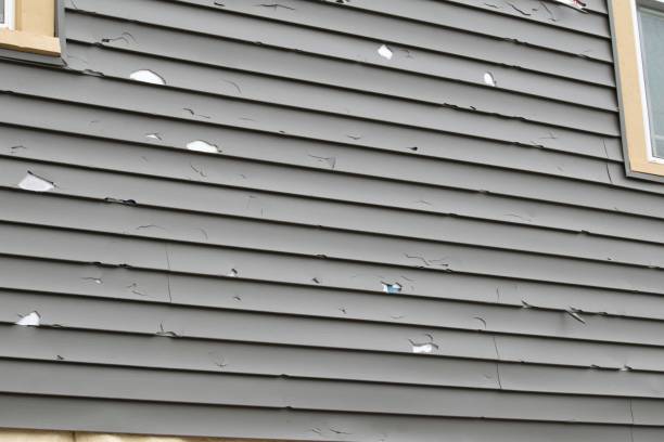 Best Storm Damage Siding Repair  in Bonadelle Ranchos, CA